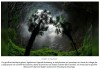 sciencepost - Un trou béant de 192 mètres de profondeur abrite une forêt-oasis de biodiversité