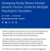 trustmyscience - Certains grands groupes, tels que celui de l’anxiété et de la dépression, partagent les mêmes caractéristiques génétiques