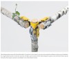 yankodesign - Omnibite’s Screwless Joint Wants You to Build With Raw Branches