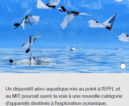 EPFL - Un robot ailé nage et vole comme un oiseau plongeur