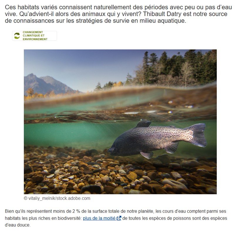 Cordis - Où vont les poissons lorsqu’une rivière s’assèche?