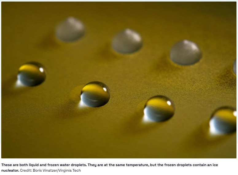gizmodo - This Fungus Can Make Water Freeze