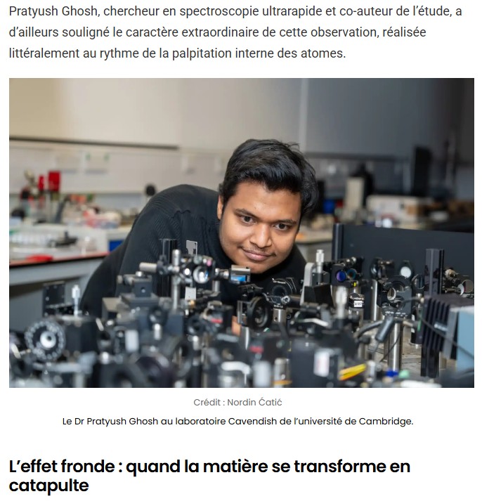 sciencepost - Vous trouvez les panneaux solaires actuels trop peu efficaces ? Des chercheurs ont découvert une « catapulte » moléculaire