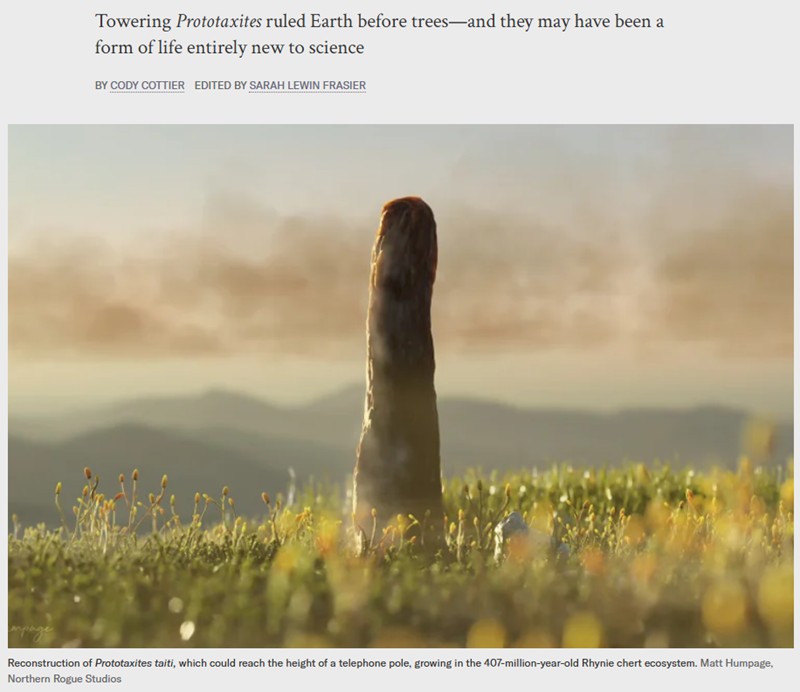 scientificamerican - Mystery tower fossils may come from a newly discovered kind of life