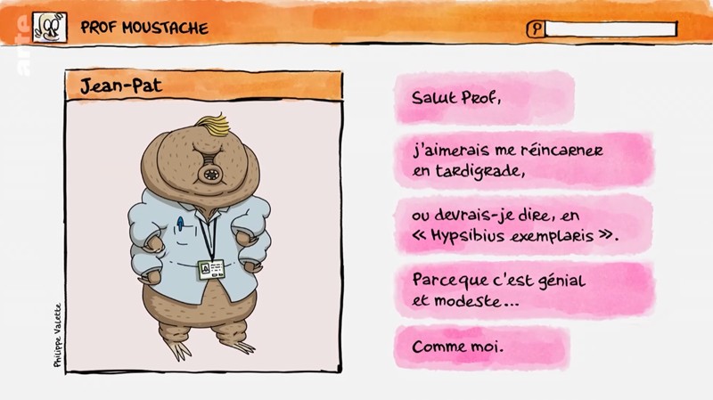 Les animaux fantastiques (mais vraiment moches) | Compilation | Tu mourras moins bête | ARTE