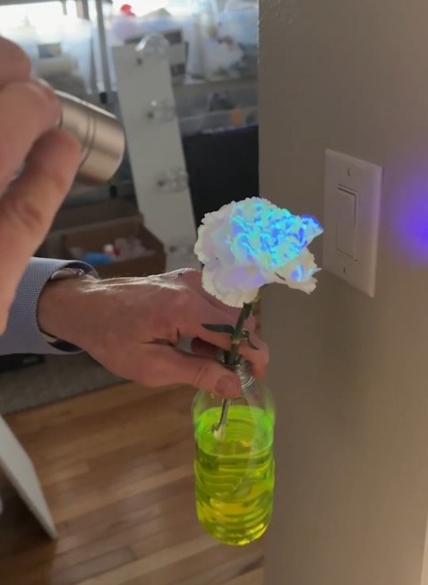 sickscience - The Blacklight-Only Flower