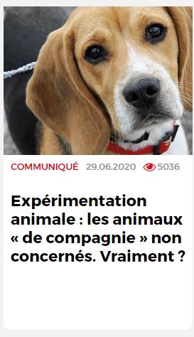 30millionsdamis.fr experimentation-animale-les-animaux-de-compagnie-non-concernes-vraiment.jpg