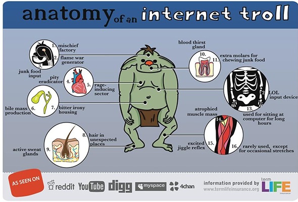 AnatomyInternetTroll.jpg