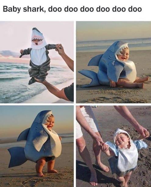 Baby shark doo doo doo doo doo doo.jpg