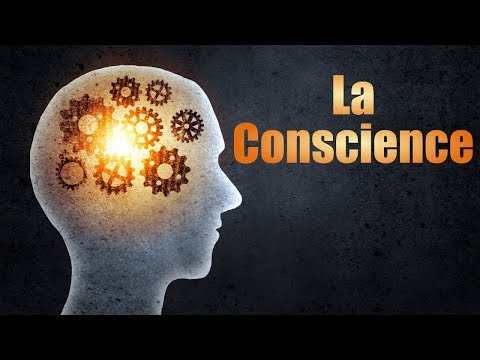 La Conscience (avec Monsieur Phi) — Science étonnante 48.jpg