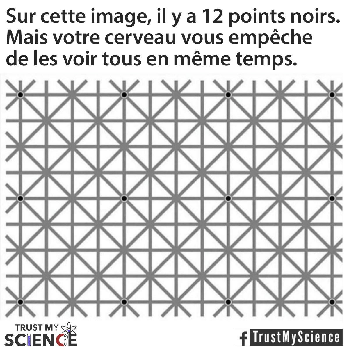 Trust_My_Science_-_sur_cette_image_il_y_a_12_points_noirs.jpg