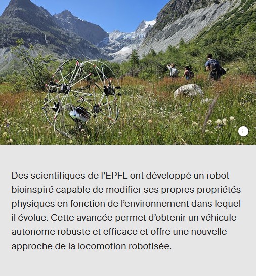 EPFL - Un robot qui change de forme pour explorer tous les terrains - GOAT (Good Over All Terrains)