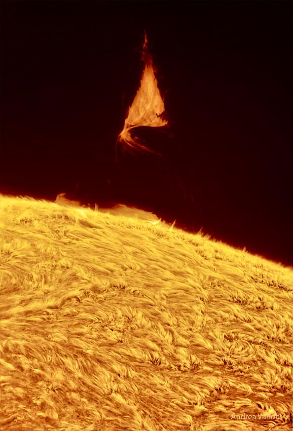 APOD - A Triangular Prominence Hovers Over the Sun