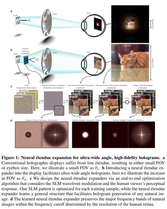 Neural etendue expansion for ultra-wide angle, high-fidelity holograms