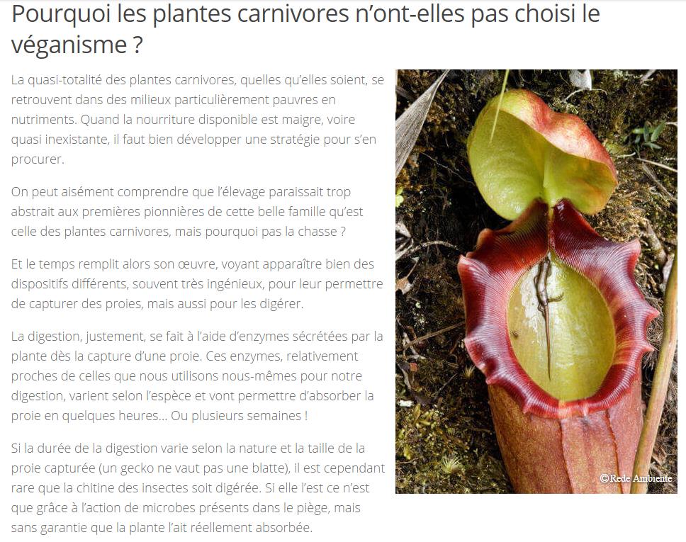 blog.defi-ecologique.com_plantes-carnivores.jpg