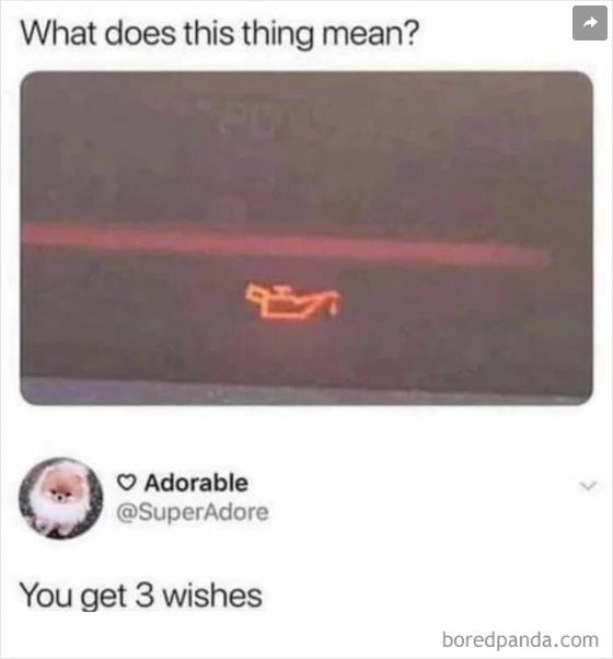 What does this thing means ?