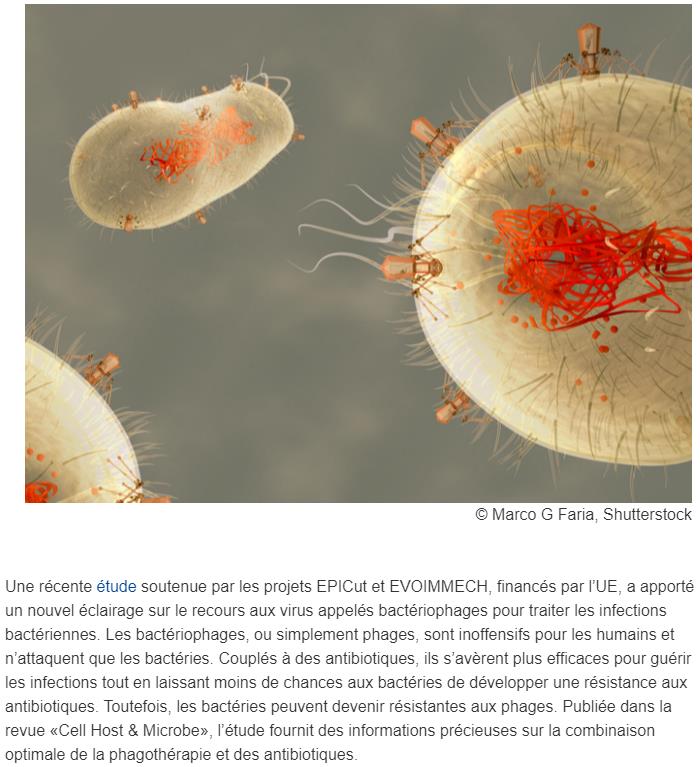 cordis.europa.eu exploring-antibiotic-resistance-bacteria-and-the-viruses-that-eat-them.jpg