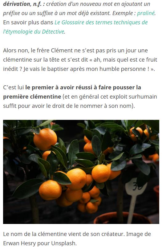 detectivedesmots.wordpress.com etymologie-clementine-mandarine-quelles-differences.jpg