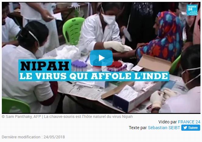 france24.com inde-kerala-nipah-virus-mortel-epidemie-danger-comparaison-ebola.jpg