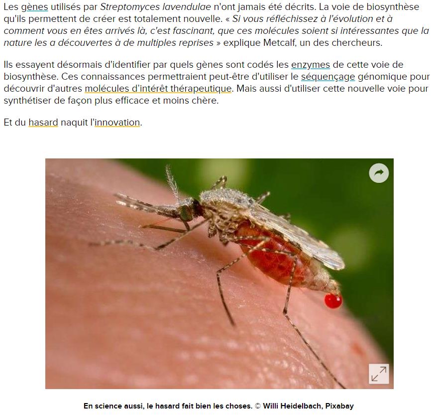 futura-sciences.com genome-malaria-genome-bacterie-devient-ressource-medicale.jpg