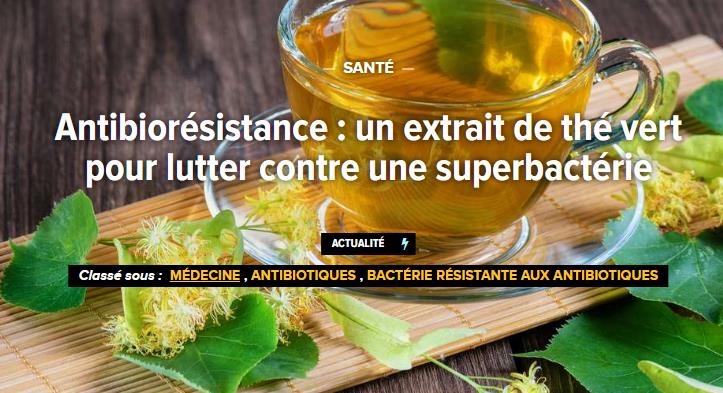 futura-sciences.com medecine-antibioresistance-extrait-vert-lutter-superbacterie.jpg
