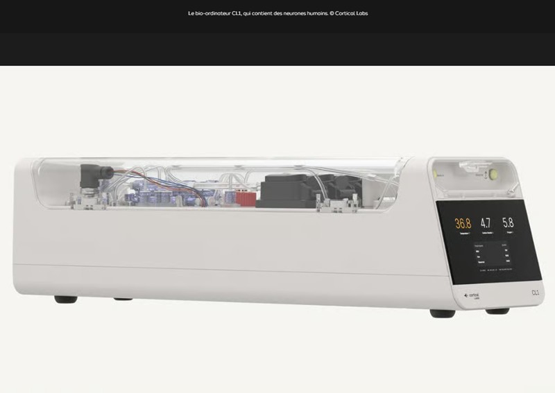 futura-sciences - Ils ont créé un ordinateur « vivant » qui fonctionne avec des cellules de cerveau humain et vous pouvez déjà l’acheter !
