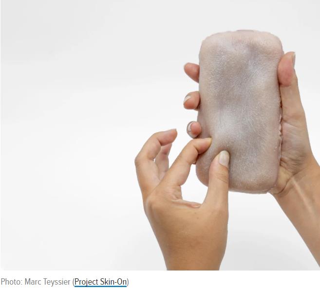gizmodo.com i-cant-unsee-these-faux-flesh-phone-cases.jpg