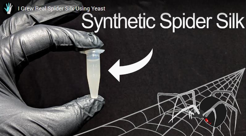 hackaday.com spider-silk-spider-silk-made-using-a-strain-of-yeast.jpg