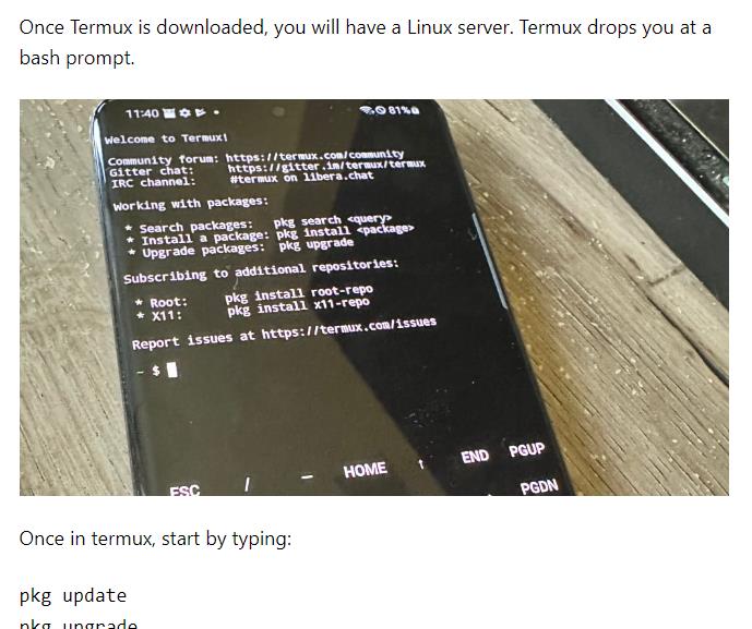 Using Termux on Android for Self Hosting? Yes, really