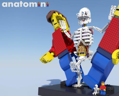 ideas.lego.com Meet Stephan Niks of Anatomini.jpg