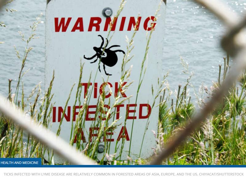 iflscience.com health-and-medicine a-new-lyme-disease-vaccine-is-showing-promise.jpg
