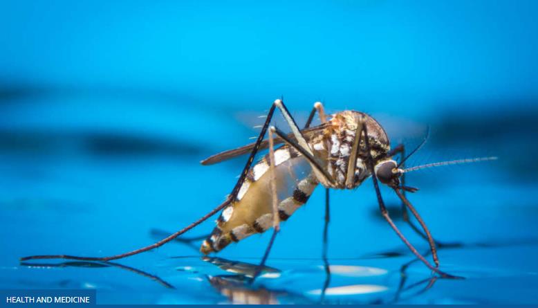 iflscience.com health-and-medicine theres-a-gross-reason-why-mosquito-bites-itch-for-so-long.jpg