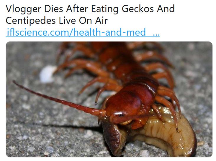 iflscience.com health-and-medicine vlogger-dies-after-eating-geckos-and-centipedes-live-on-air.jpg