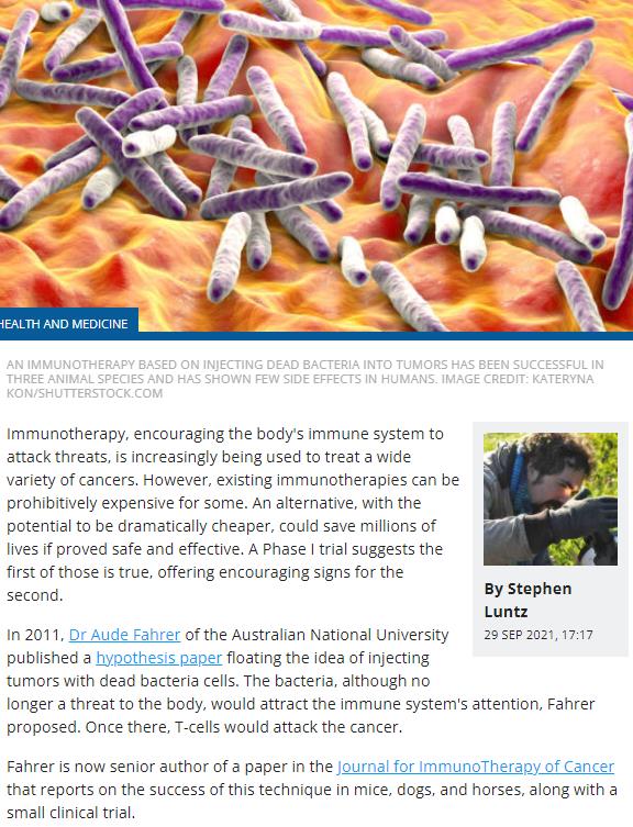 iflscience.com potentially-cheap-bacteriabased-immunotherapy-for-cancer-passes-phase-i-clinical-trial.jpg