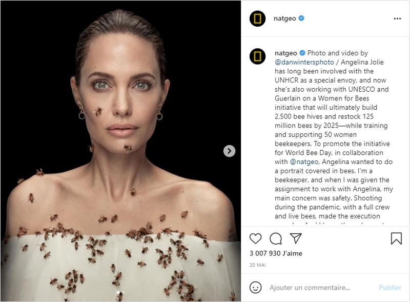 instagral.com natgeo et Angela Jolie - Bees initiative.jpg