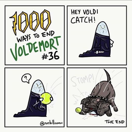 instagram.com B-mIJazDGa7 1000 ways to end Voldemort.jpg