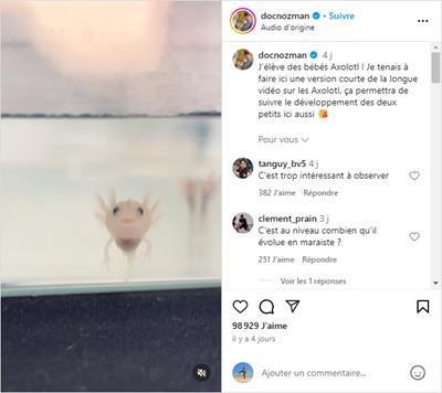 Je tenais à faire ici une version courte de la longue vidéo sur les Axolotl, ça permettra de suivre le développement des deux petits ici aussi