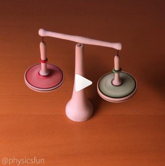 instagram.com physicsfun Spin Top Carousel.jpg