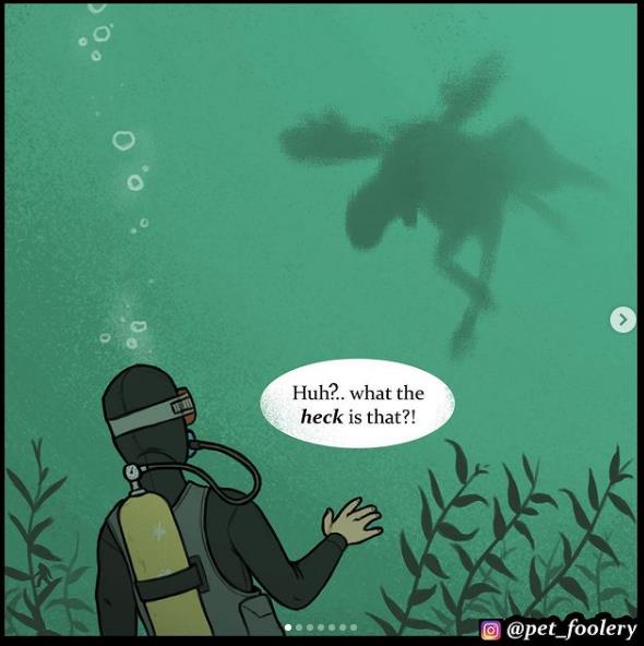 instagram - pet_foolery - And that was the last time he ever went scuba diving.jpg