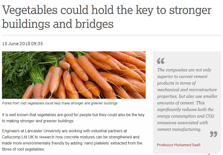 lancaster.ac.uk vegetables-could-hold-the-key-to-stronger-buildings-and-bridges.jpg