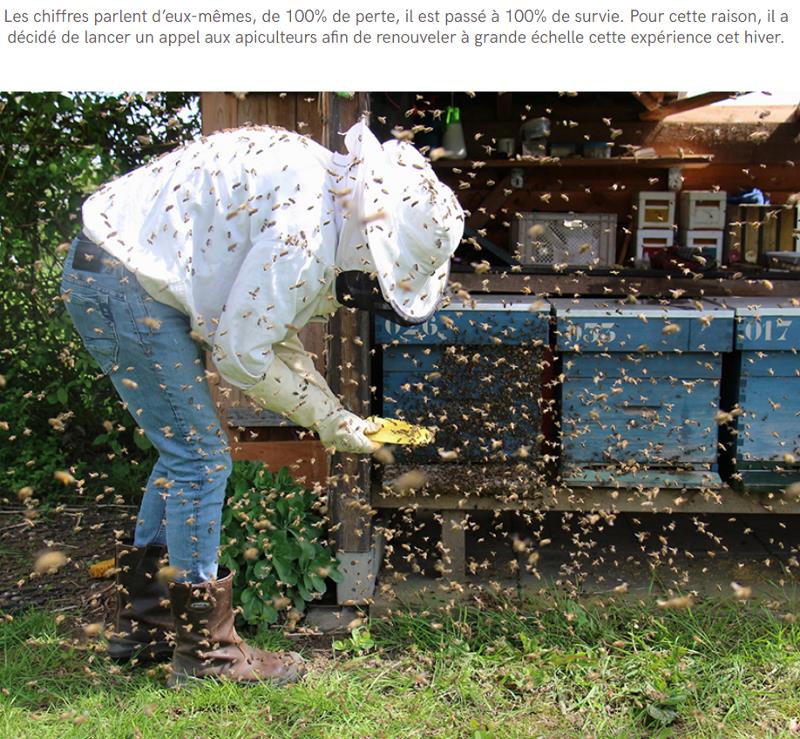 lareleveetlapeste.fr un-apiculteur-a-trouve-une-methode-pour-sauver-les-abeilles-des-redoux-et-du-parasite-varroa.jpg