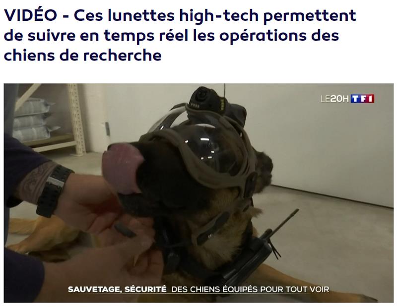 lci.fr sciences-et-innovation video-technologie-innovation-ces-lunettes-high-tech-permettent-de-suivre-en-temps-reel-les-operations-des-chiens-de-recherche.jpg