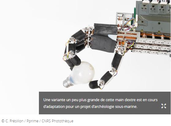 lejournal.cnrs.fr articles cinq-robots-au-talent-fou.jpg