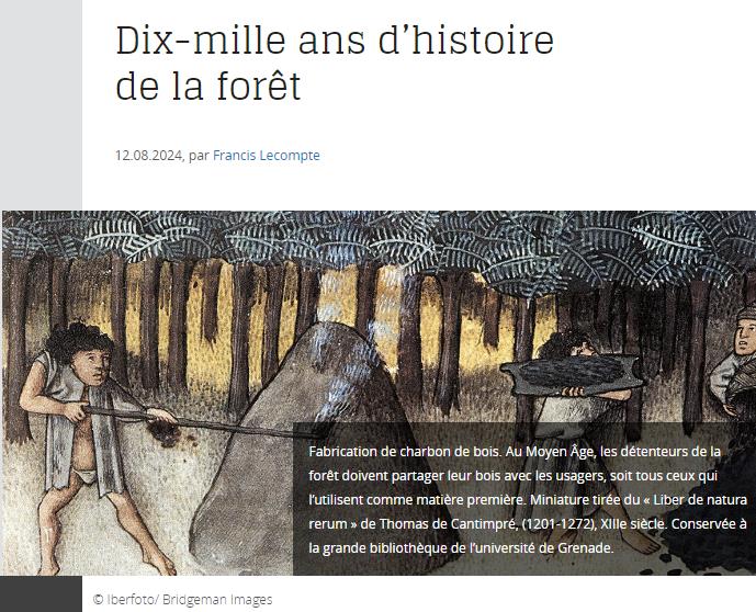 CNRS Lejournal - Dix-mille ans d’histoire de la forêt