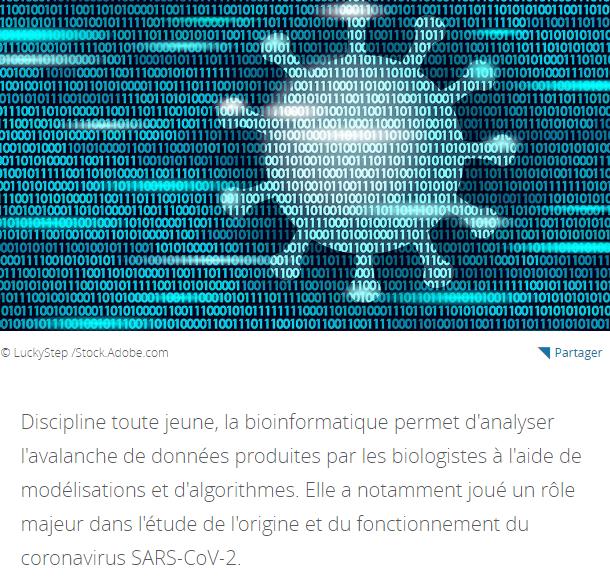 lejournal.cnrs.fr la-bioinformatique-une-alliee-de-taille-contre-le-covid-19.jpg