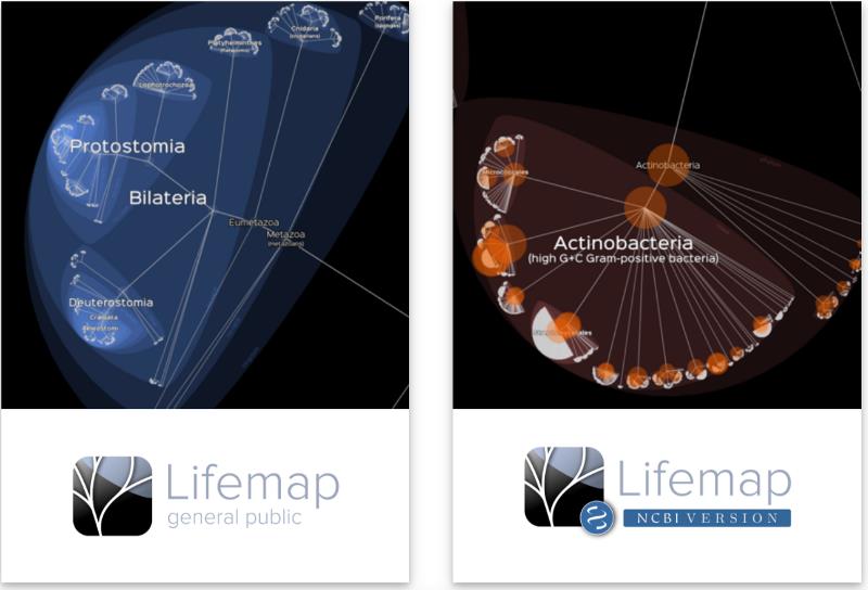 lifemap.univ-lyon1.fr.jpg
