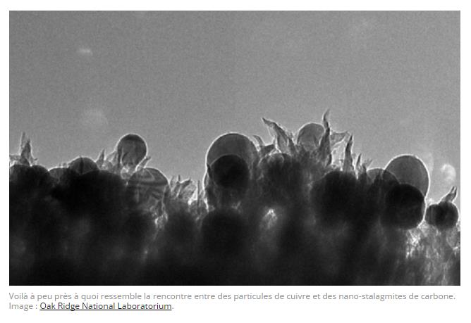 nano-stalagmites_de_carbone.jpg