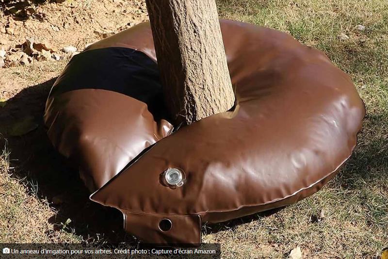 Neozone - Baumbad, l’invention d’un anneau d’arrosage pour « hydrater » les arbres pendant la canicule