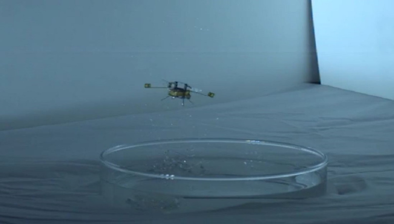 robobee-can-fly-swim-and-explode.jpg