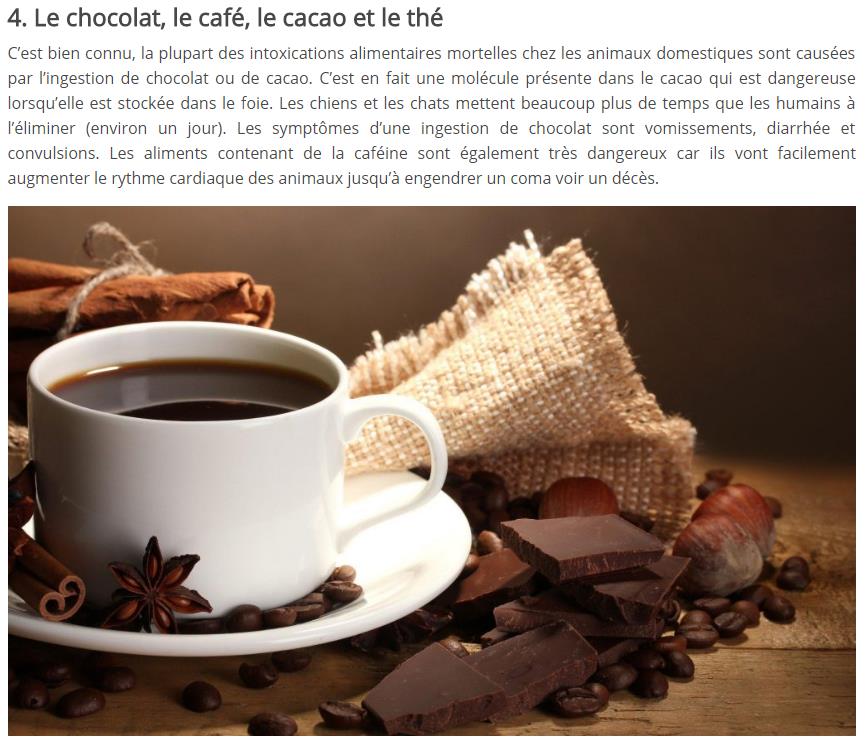 sciencepost-cafe-chocolat.jpg